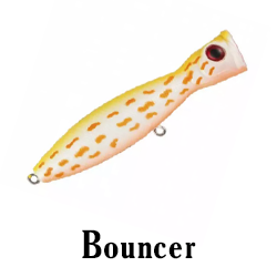 Bouncer