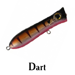 Dart