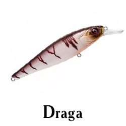 Draga