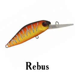 Rebus