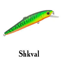 Shkval