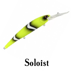 Soloist