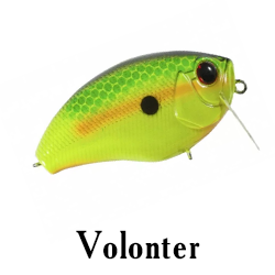 Volonter