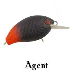 Agent