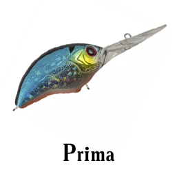 Prima