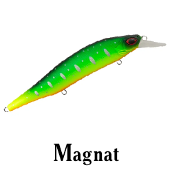 Magnat