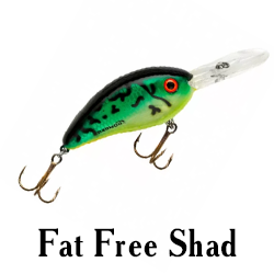 Fat Free Shad