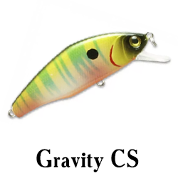 Gravity CS