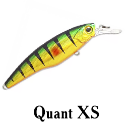 Quant XS