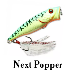 Next Popper