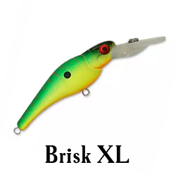 Brisk XL