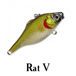 Rat V