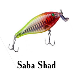 Saba Shad