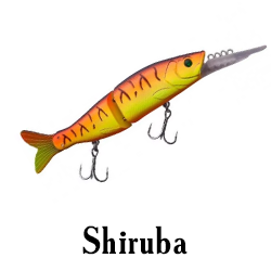 Shiruba