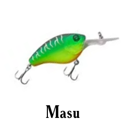 Masu