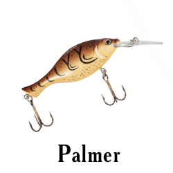 Palmer