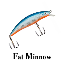 Fat Minnow