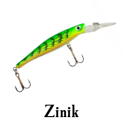 Zinik