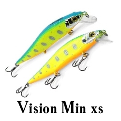 Vision Min xs