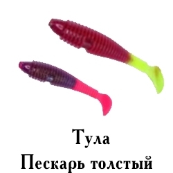 Тула Пескарь толстый